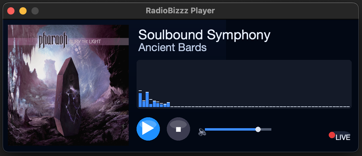 Capture d’écran de RadioBizzz Player